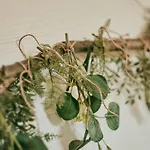 Holzer * Sankt Margarethen im Lungau