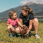 Apartamento Holzer *