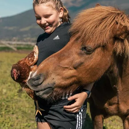 Holzer Appartement Sankt Margarethen im Lungau