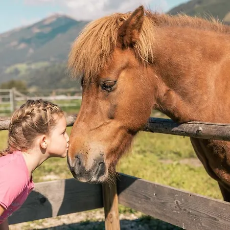 Appartement Holzer *