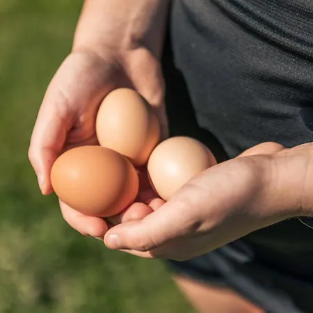 Holzer Sankt Margarethen im Lungau