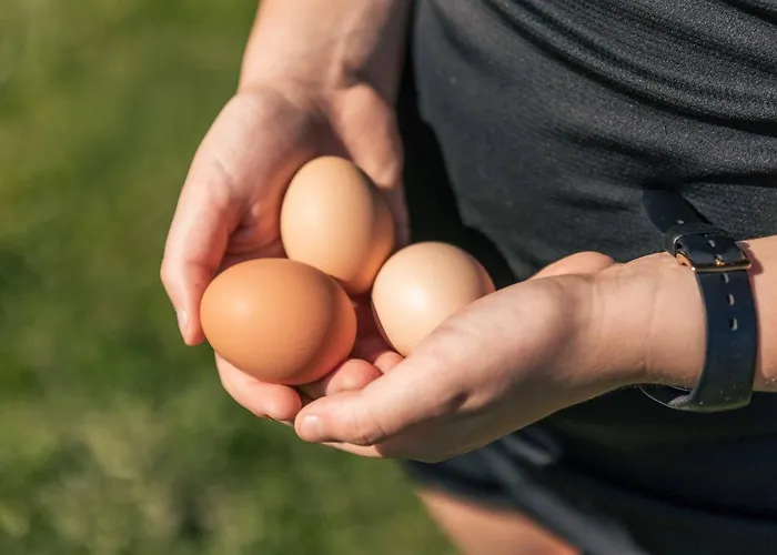 Holzer Sankt Margarethen im Lungau